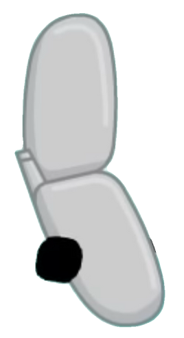 Leek