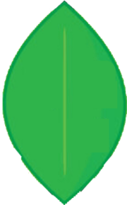 Battle For Dream Island Wiki - Bfdi Leafy Intro Transparent PNG - 281x499 -  Free Download on NicePNG