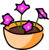 Bowl of petunias