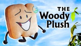 Hello Woody! thumbnail