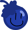 Blueberry