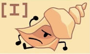 Conch Shell