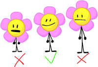 Flower Height Guide.png