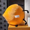 2021 Firey plush bottom