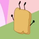 17woody5.png (17 KB)