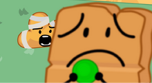 Woody and Cloudy.png