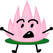 lotus flower; Lilyisalef