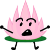 Lotus Flower