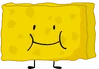 Spongy (13th)