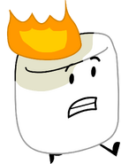 Marshmallow on fire