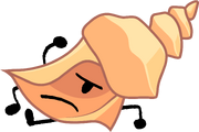 16ReConchShell