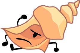 16ReConchShell