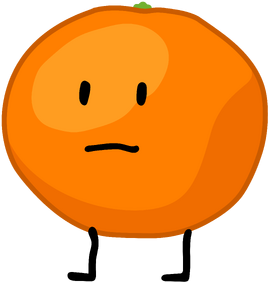 BFB 7