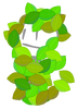 David as Leafy (BFDI 24, BFDI 25)