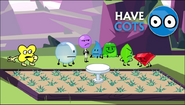 X's Aloe Vera garden