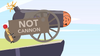 Not cannon 2