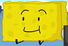 BFB29Sponge5