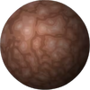 Callisto