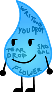 Youdrop; laylabrito; appears to be written on by Teardrop, Snowball, and Flower.
