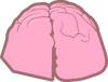 Flower's Brain (im not sure if this is allowed but its in the fla.).png (60 KB) Flower’s brain