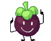 Mangosteen