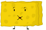 Spongy (BFDI 14)