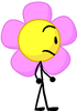 Flower - wait what the petal