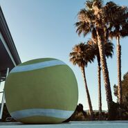 "“I’ve had so much fun on this vacation so far! …Though, I can’t help but feel like somebody’s missing…” - 🎾"