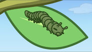 The dehydrated caterpillar on a tree
