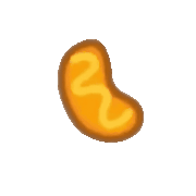 PetAmoebaAnimation