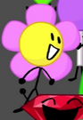 16flower2.png (39 KB)