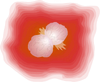 Homunculus Nebula