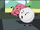 Eraser and Snowball