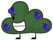 Bushy; BushyWasNotHere