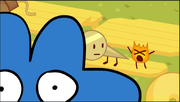 73