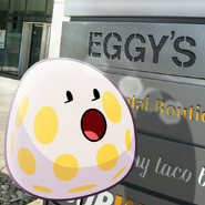 "Take a stop at Eggy’s restaurant!"
