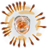 Eskimo Nebula