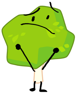BFB 15