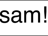 Sam (character)