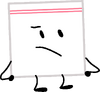 Evidence Bag