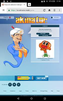 Akinator, Software