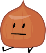 Hazelnut; Sweet R. F.