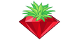 Pineapple (BFDIA 11)