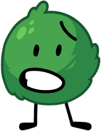 marimo ball; Charingo