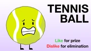 TennisBallBFDIA12Vote