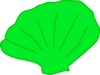 Seashell