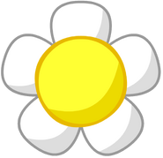 Daisy