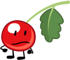 Redcurrant