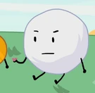 Snowball holding the seeds.jpg (62 KB)