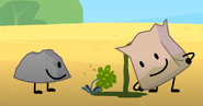 Rocky vomiting on a funny plant.